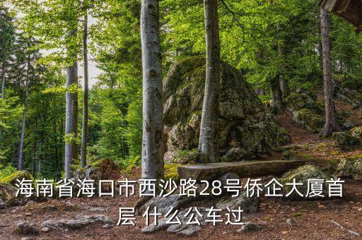 海南公務(wù)車什么號(hào)段，誰(shuí)知道海南41 11月20日開(kāi)的什么號(hào)碼