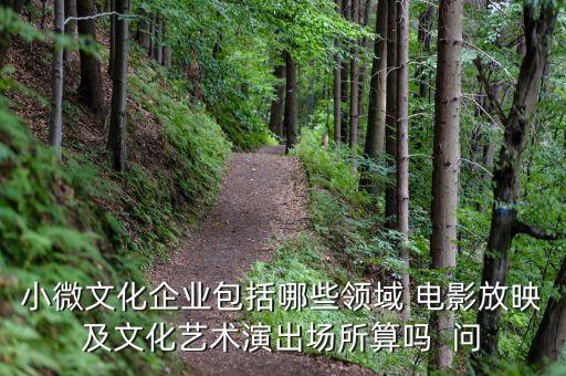 小微文化企業(yè)具體指什么，小微文化企業(yè)包括哪些領(lǐng)域 電影放映及文化藝術(shù)演出場所算嗎  問