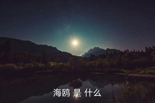 海鷗和石墨是什么關(guān)系，MAURICE BLUM品牌和海鷗有什么關(guān)系