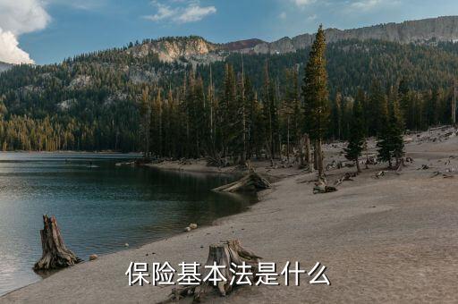 保險基本法是什么，保險基本法是什么