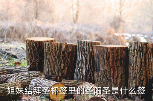 圣陽(yáng)圣屬什么簽，天災(zāi)禍不除我去拜佛了請(qǐng)問(wèn)下這只簽是什么意思啊好