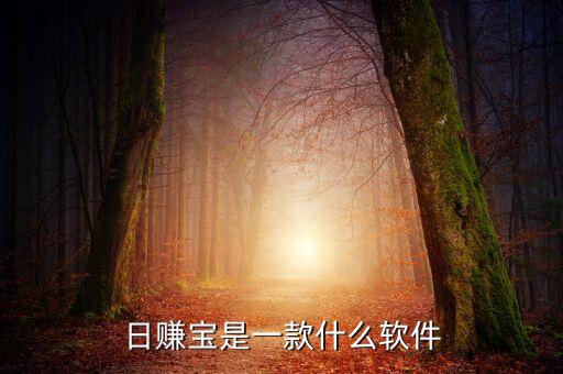 日溢寶是什么，誰用過大王卡那個日租寶是什么意思如果有月流量套餐日租寶還