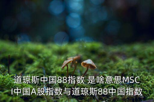 88開頭的股票是什么股，88打頭的股票代碼是那個交易所