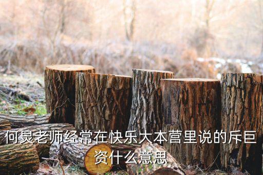 赤巨資是什么意思，赤巨資是什么意思能解釋一下嗎