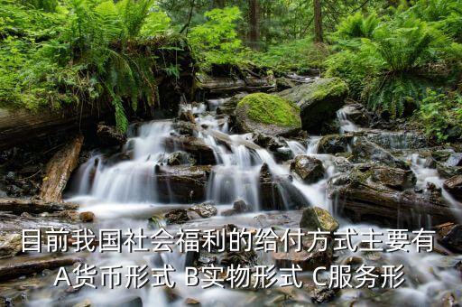 我國是什么福利型模式，目前我國社會(huì)福利的給付方式主要有 A貨幣形式 B實(shí)物形式 C服務(wù)形