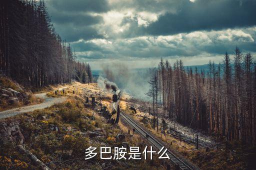 云藥是什么，rarely是什么意思