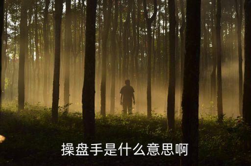 股票里操盤手聯(lián)盟是什么意思，有哪位高人可以給我詳細(xì)解釋下操盤手是什么意思