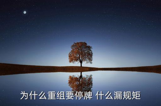 為什么湘潭電化重組暫停，湘潭電化股票停牌是什么意思