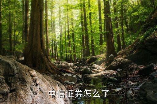 郭志榮為什么離開中信，中信證券怎么了
