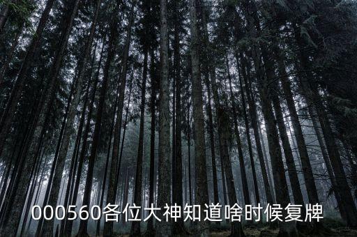 棟梁新材什么時候復牌，000560各位大神知道啥時候復牌