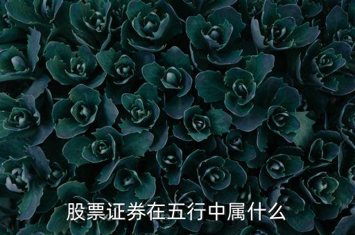 股票在五行中屬什么，股票證券在五行中屬什么