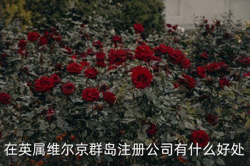 在英屬維爾京群島設(shè)立子公司有什么好處，設(shè)立子公司的好處有哪些