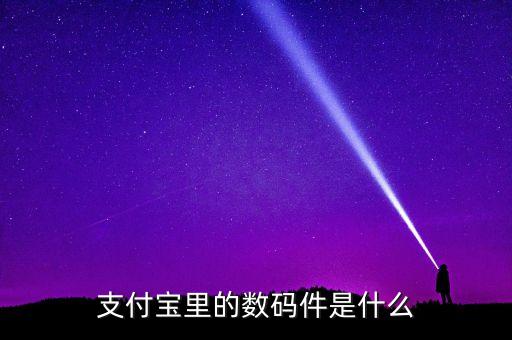 支付寶機具是什么，支付寶里的數(shù)碼件是什么