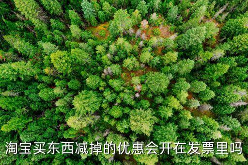 網(wǎng)店為什么貨票不同行，為什么網(wǎng)店賣的東西不能和發(fā)票一同送來