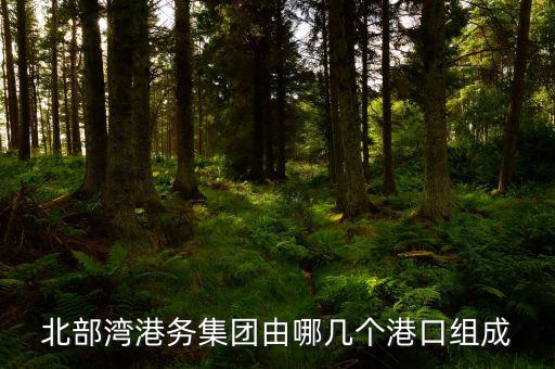 北部灣港務(wù)集團(tuán)由哪幾個港口組成