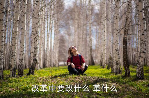 你認為我國改革的重心應是什么改，我國改革的任務決定了改革應是 A 經(jīng)濟體制的改革 B 政治體制的改革