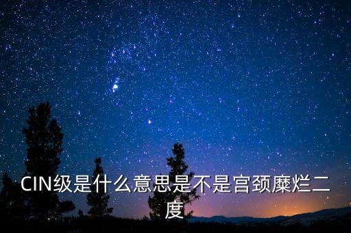 海泰宮靖是什么級別，CIN級是什么意思是不是宮頸糜爛二度