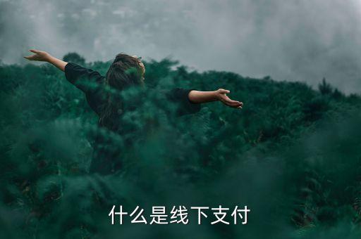什么是線上線下支付，什么是線下支付