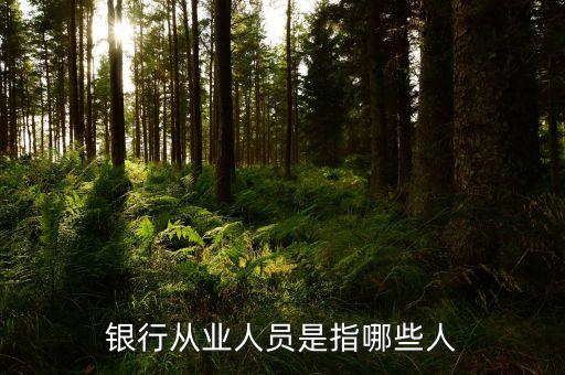 銀行從業(yè)人員是什么，我在銀行從業(yè)資格證里面看到一個銀行從業(yè)人員和銀行非從業(yè)人員