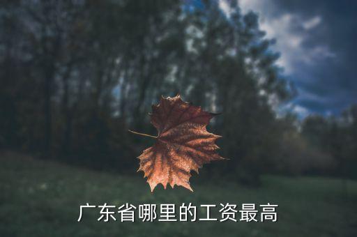 廣東工資最高什么地方，廣東什么地方打工工資最高