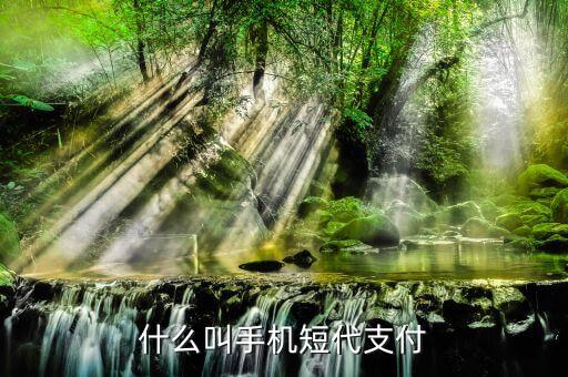 什么事短代支付，短代是什么意思