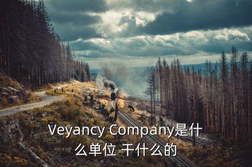 時(shí)代沃頓科技有限公司是什么單位，Veyancy Company是什么單位 干什么的