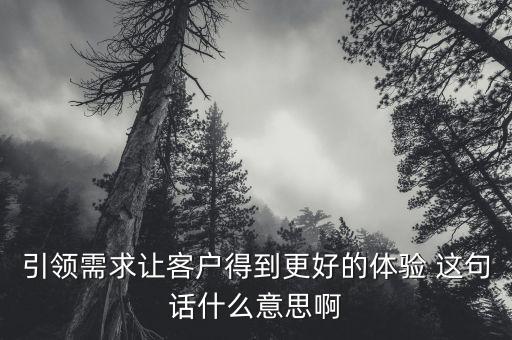 什么是引領(lǐng)需求，引領(lǐng)需求讓客戶得到更好的體驗 這句話什么意思啊