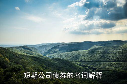 什么叫銀行短期債券，我國銀行的短期借入債市場是什么呢謝謝回答
