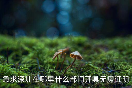坪山國土局在什么地方，深圳哪座山比較有趣