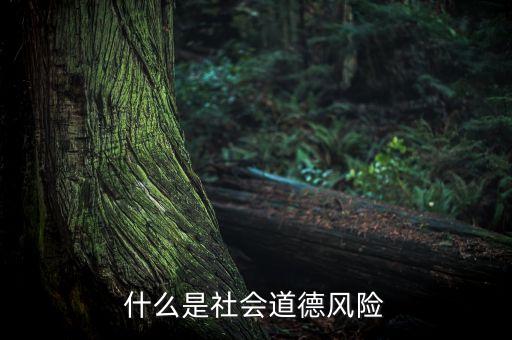 什么是社會(huì)風(fēng)險(xiǎn)，什么是社會(huì)道德風(fēng)險(xiǎn)