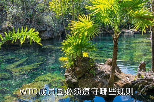 wto規(guī)則是什么，WTO的基本原則