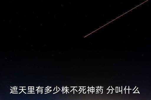 神藥代表什么，圣經(jīng)黃金沫藥什么含義