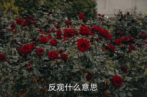 反觀當(dāng)下是什么意思，求英語大神翻譯反觀當(dāng)下