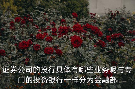 國內(nèi)券商投行部在做什么，國有四大行的投行部在做什么
