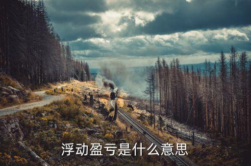 浮動(dòng)盈虧60是什么意思，浮動(dòng)盈虧是什么意思
