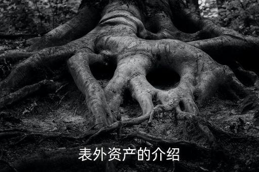 什么是表外資金，表外資產(chǎn)的介紹