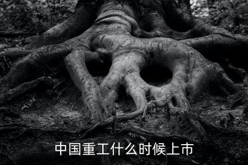 中國重工什么時候增發(fā)，中國重工上市時間