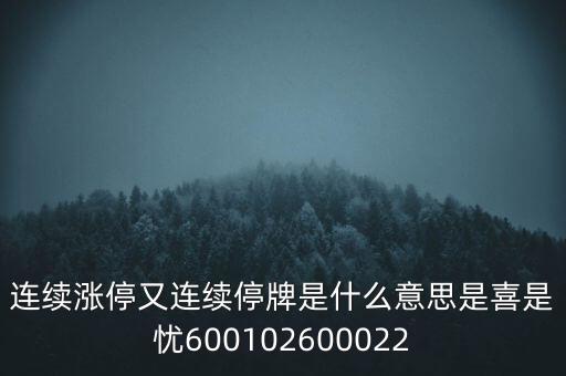 600139連續(xù)停牌是什么意思，股票連續(xù)停牌是什么意思
