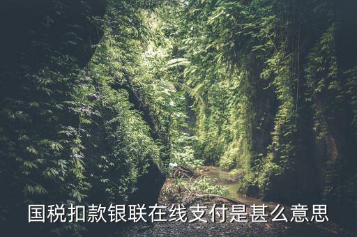 銀聯(lián)劃扣跟連連支付有什么區(qū)別，國稅扣款銀聯(lián)在線支付是甚么意思