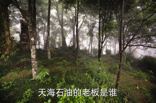 天海收購(gòu)英邁什么時(shí)間，信用卡能不能申請(qǐng)延遲2天?？?/></a></span><span id=