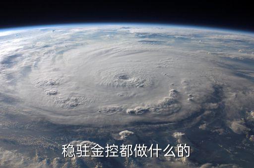 金控公司是干什么的，金控集團(tuán)是干什么的