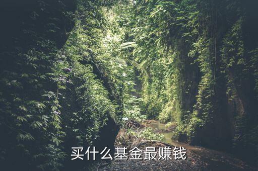 買什么基金賺錢，買什么樣的基金能賺錢