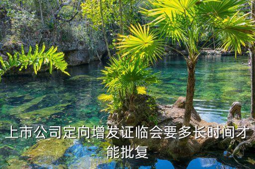 中珠控股定向增發(fā)什么時(shí)候批下來，上市公司定向增發(fā)證臨會要多長時(shí)間才能批復(fù)
