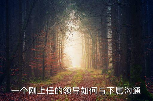 新任董事長應(yīng)該做什么，董事會換屆選舉怎么做