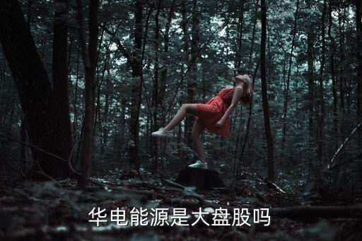 華電能源是什么公司，內(nèi)蒙華電 屬于五大電力集團(tuán)的哪一家