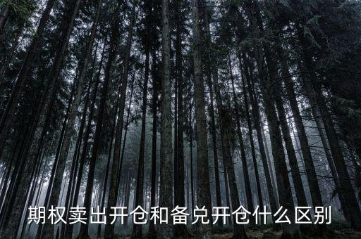 個(gè)股期權(quán)賣(mài)出開(kāi)倉(cāng)什么意思，賣(mài)出開(kāi)倉(cāng)是咋意思