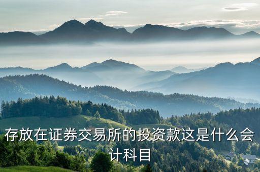 證券投資屬于什么會計科目，存放在證券交易所的投資款這是什么會計科目