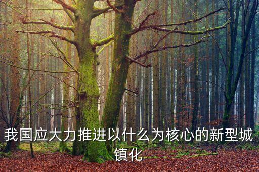 我國應(yīng)大力推進以什么為核心的新型城鎮(zhèn)化