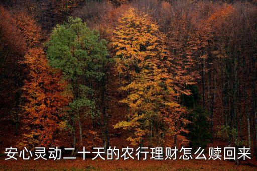 安心靈動(dòng)20天什么時(shí)候可以贖回，安心靈動(dòng)二十天的農(nóng)行理財(cái)怎么贖回來