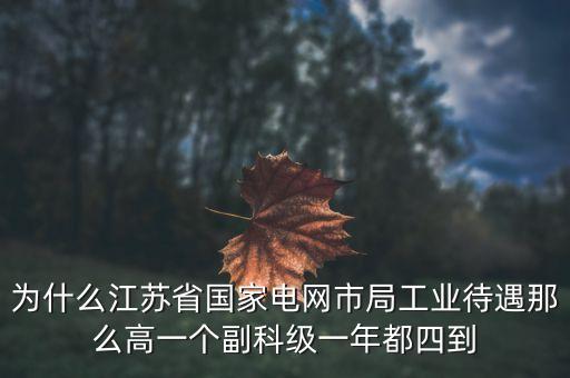 電力住房公積金為什么高，國(guó)家電網(wǎng)正式工公積金800元高嗎